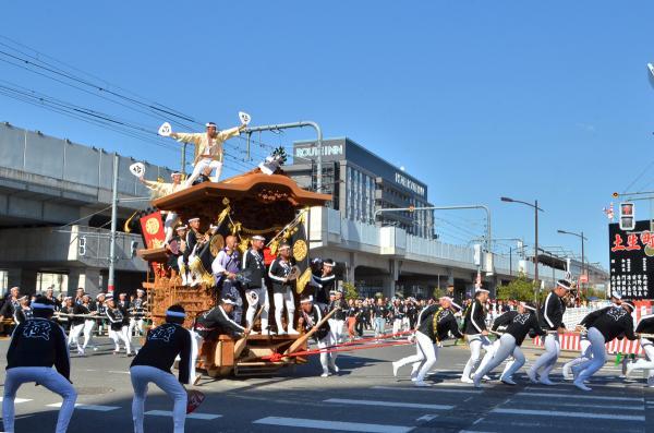 https://www.db.kansai-maas.jp/image/photos/c8a83dad-1f37-4096-bc2e-5dcbfe0321f6.jpg