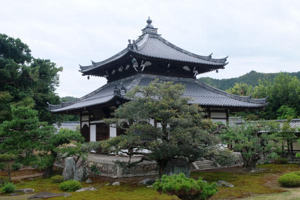https://www.db.kansai-maas.jp/image/photos/c8d1caca-648e-4aa3-b8c4-3d34800f1dc2.jpg