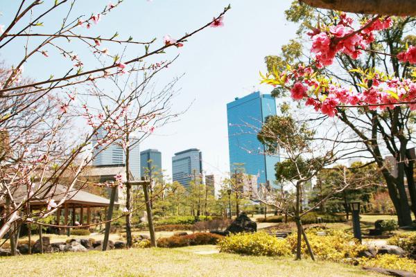 https://www.db.kansai-maas.jp/image/photos/c90905fd-a48a-4f6f-89bf-b8021bcf1c5b.jpg