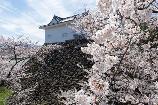 https://www.db.kansai-maas.jp/image/photos/c911d427-cd6e-46ef-9602-bf8fe2207061.jpg