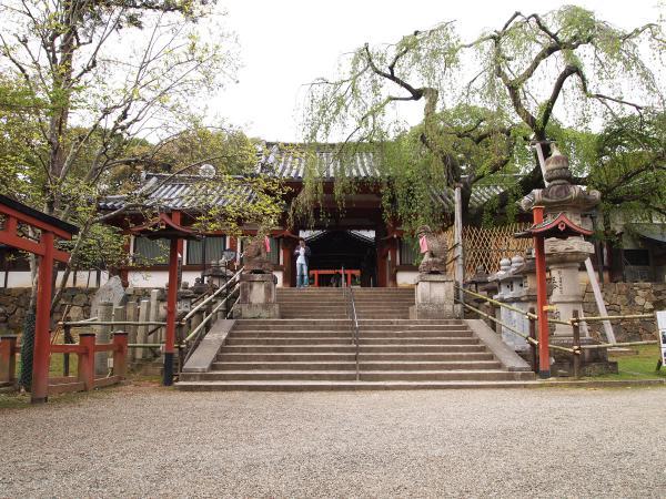 https://www.db.kansai-maas.jp/image/photos/c925b6bd-ea88-401e-b456-aba0daeb4b5f.jpg