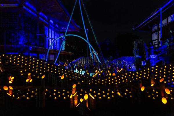 https://www.db.kansai-maas.jp/image/photos/c96ca2a0-3588-439a-9553-a5792dcb4475.jpg