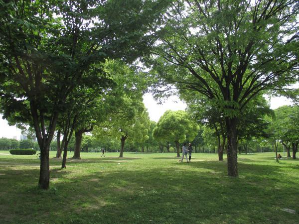 https://www.db.kansai-maas.jp/image/photos/c9d94e96-02fb-4576-bd47-14a10a686964.jpg