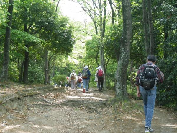 https://www.db.kansai-maas.jp/image/photos/ca1b3eb2-e415-4757-ac61-d3a3add02d33.jpg