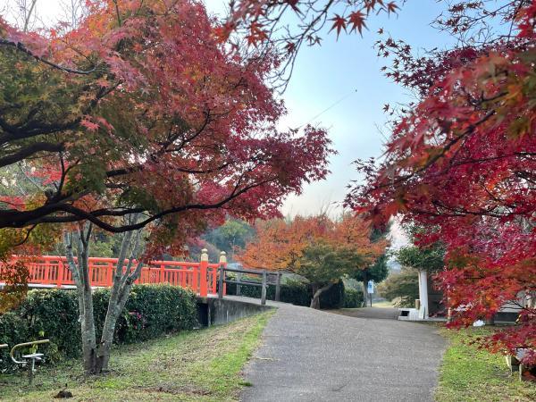 https://www.db.kansai-maas.jp/image/photos/ca4302a4-aa98-4d8b-b95f-8631cccdf576.jpg