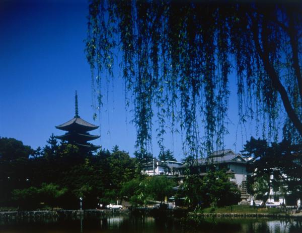 https://www.db.kansai-maas.jp/image/photos/cb0c42ff-55d3-4093-af46-2992e2386912.jpg