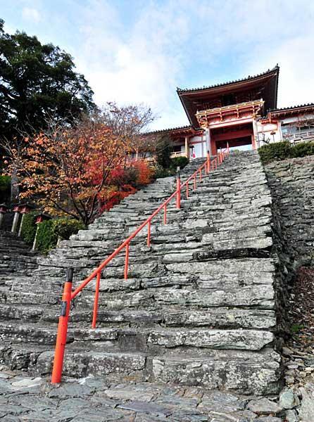 https://www.db.kansai-maas.jp/image/photos/cb0c747e-8f89-407c-b37e-be77e0a0ca02.jpg
