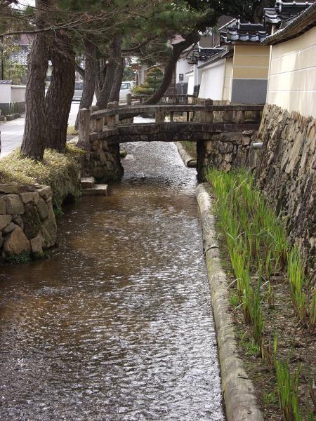 https://www.db.kansai-maas.jp/image/photos/cc479e73-e69c-4caf-bfb8-62a19998c50c.jpg
