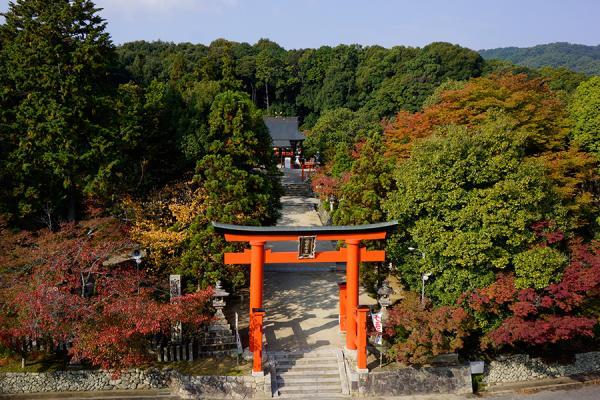https://www.db.kansai-maas.jp/image/photos/cc4999a4-de7c-4df1-b8e6-d73b96bcc948.jpg