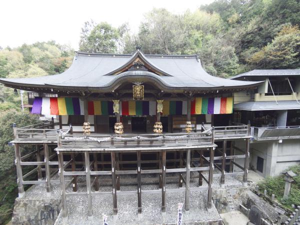 https://www.db.kansai-maas.jp/image/photos/cc5310fa-4006-4dc9-9271-18e3ed367db8.jpg