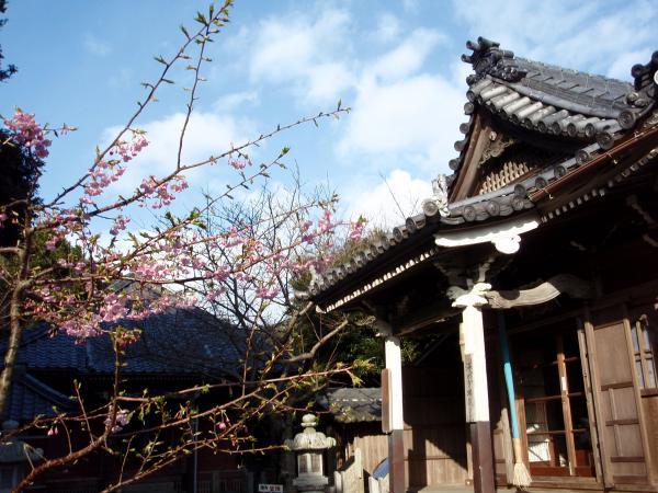 https://www.db.kansai-maas.jp/image/photos/ccac0c8a-0991-499f-8c98-8d3ebf175683.jpg