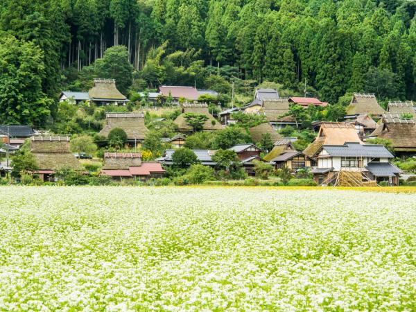 https://www.db.kansai-maas.jp/image/photos/ccf4b863-fc7a-4035-b5b1-159caccdded3.jpg