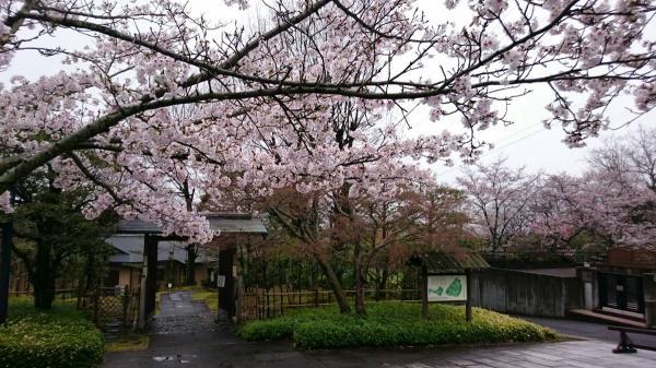 https://www.db.kansai-maas.jp/image/photos/cd37ada8-4659-491c-86d3-099ce575efbd.jpg
