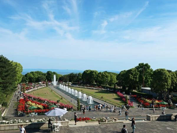 https://www.db.kansai-maas.jp/image/photos/cd3db418-b059-4c37-8333-9c16dab1564d.jpg