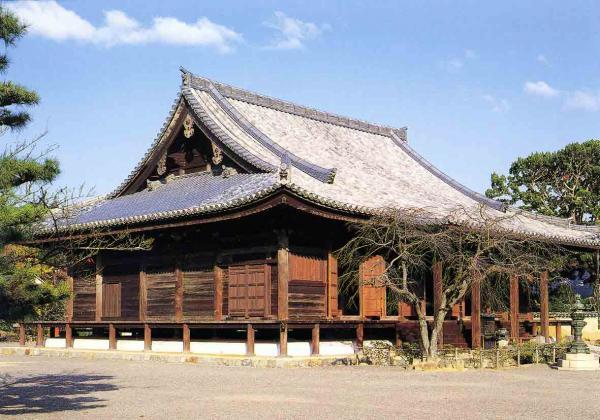 https://www.db.kansai-maas.jp/image/photos/cdfd9902-6510-452a-8858-1d5af2f1ab15.jpg