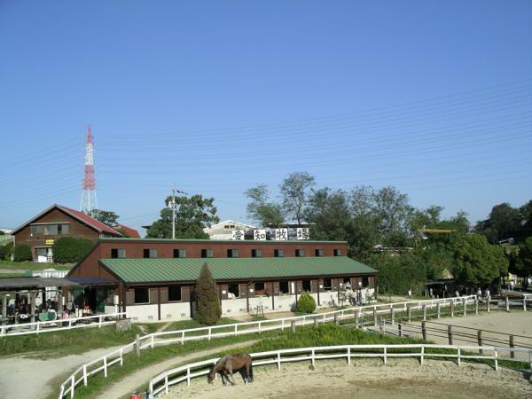 https://www.db.kansai-maas.jp/image/photos/ce61aa90-8da5-486f-b898-f9da59dcc292.jpg