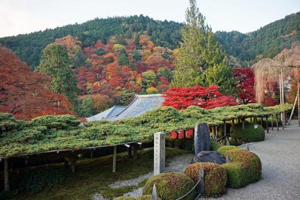 https://www.db.kansai-maas.jp/image/photos/d0b54436-6058-4311-9cc8-14d5f6bb7fc8.jpg