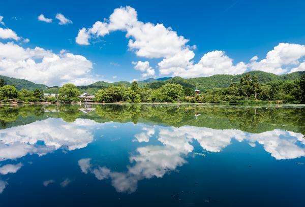 https://www.db.kansai-maas.jp/image/photos/d1acb666-8dc8-4295-bbf6-c462223e296f.jpg