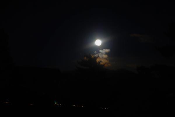 https://www.db.kansai-maas.jp/image/photos/d21622f3-0ed7-4284-ae15-cc1b6a6f07fb.jpg