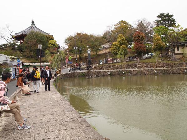 https://www.db.kansai-maas.jp/image/photos/d2285fbc-93c9-4146-b519-19e35b6c202b.jpg
