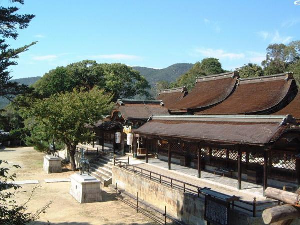 https://www.db.kansai-maas.jp/image/photos/d23ce4b7-b100-45e2-a36f-3efa2b6b2854.jpg