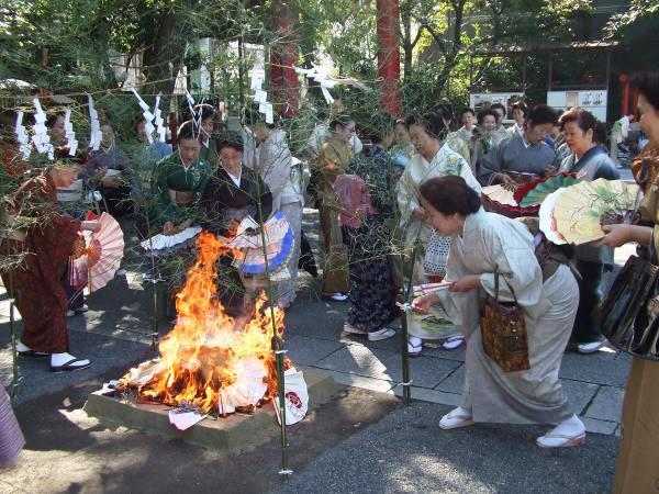 https://www.db.kansai-maas.jp/image/photos/d28f6a59-7cd0-4331-a10f-6e5facac11b0.jpg