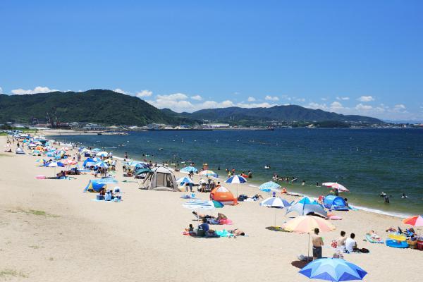 https://www.db.kansai-maas.jp/image/photos/d2f04c0a-a1a6-4cc0-9646-9505283d6bb5.jpg