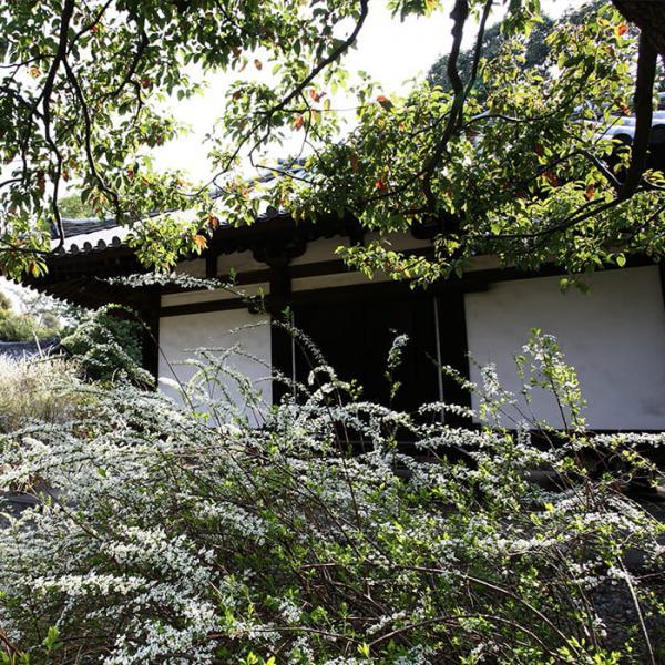 https://www.db.kansai-maas.jp/image/photos/d401351e-6353-4162-9ff4-9e4eb0aa16eb.jpg