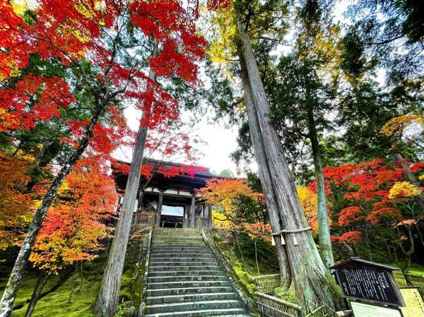 https://www.db.kansai-maas.jp/image/photos/d4c37180-2563-44ae-8d36-b23c365d8d87.jpg