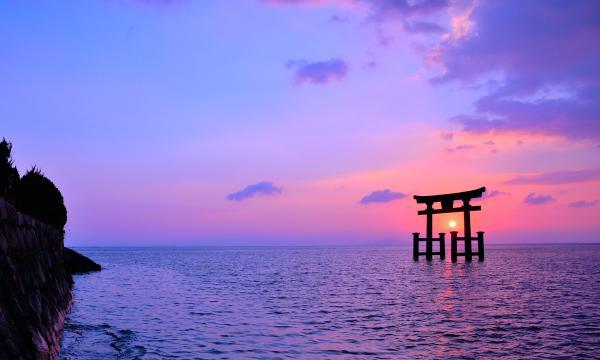 https://www.db.kansai-maas.jp/image/photos/d56a9ec9-16ba-4471-8ca3-b361658725a3.jpg