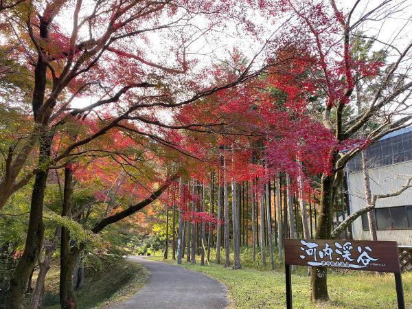 https://www.db.kansai-maas.jp/image/photos/d598bcd9-76ca-476d-a2f7-52efc030088b.jpg