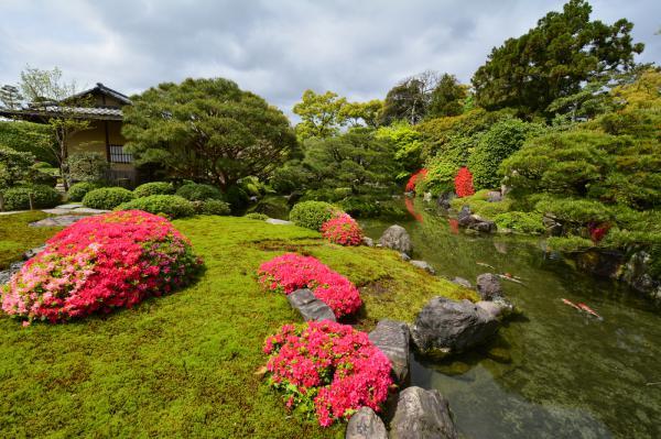https://www.db.kansai-maas.jp/image/photos/d5ac6df3-dc31-40ae-8a90-989ae2762321.jpg