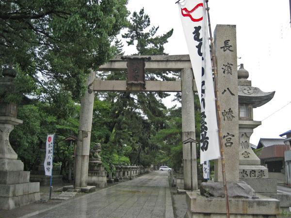 https://www.db.kansai-maas.jp/image/photos/d5b753e1-12d1-40b2-9afe-9dd6732caf60.jpg