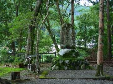 https://www.db.kansai-maas.jp/image/photos/d5c8b309-b010-40ec-b0dc-98f81d5ab9df.jpg