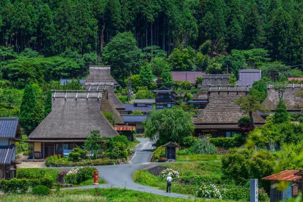https://www.db.kansai-maas.jp/image/photos/d6090b7f-0fcc-4086-9b58-680ca6ca1c3b.jpg