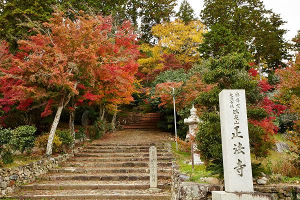 https://www.db.kansai-maas.jp/image/photos/d74a2687-3b4a-4345-a3d6-ef59fbf60dc7.jpg