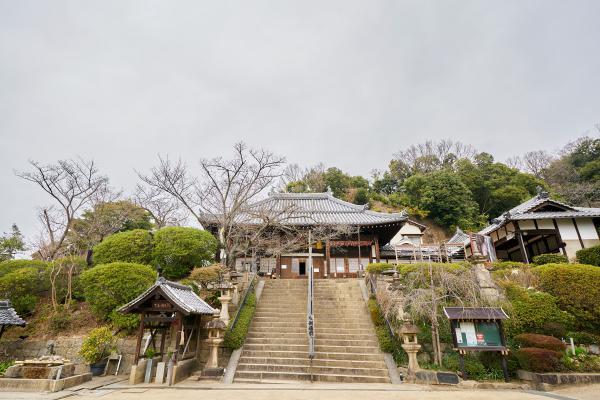 https://www.db.kansai-maas.jp/image/photos/d7d6262a-207c-4011-afd0-c26396115438.jpg