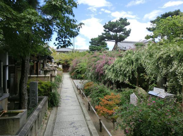 https://www.db.kansai-maas.jp/image/photos/d830a0c9-0c45-45dd-b95d-45506799bad9.jpg