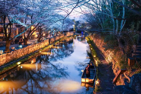 https://www.db.kansai-maas.jp/image/photos/d855cdaf-7e2f-4ad5-83c4-c1495364c847.jpg
