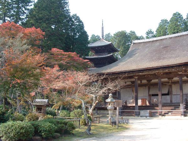 https://www.db.kansai-maas.jp/image/photos/d85f6966-96ba-44e1-a54a-c218a037f2cc.jpg