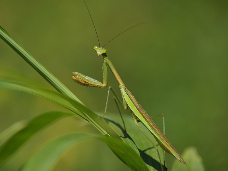 https://www.db.kansai-maas.jp/image/photos/d919924c-eb23-47be-9985-e1f02d7249f9.jpg