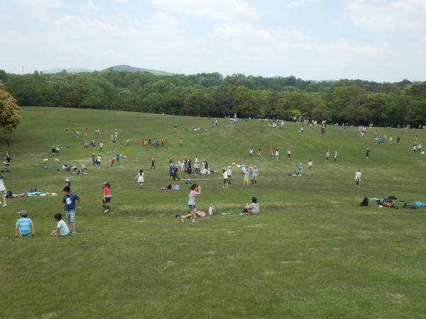 https://www.db.kansai-maas.jp/image/photos/d9343239-0d43-4076-8c1c-7b7834d04668.jpg