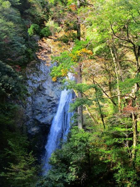 https://www.db.kansai-maas.jp/image/photos/d938e828-5636-4d25-9aa3-156771b38d50.jpg