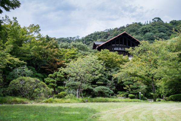 https://www.db.kansai-maas.jp/image/photos/dae1ddff-e649-45a2-91a9-288b7f66e444.jpg