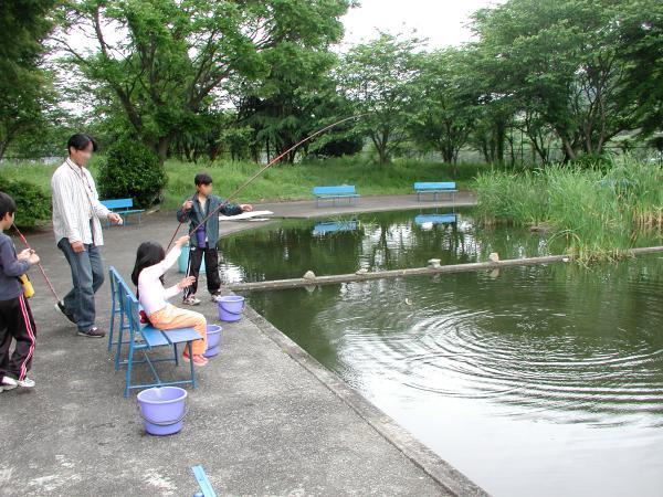 https://www.db.kansai-maas.jp/image/photos/db14669e-d8d9-44fb-bfce-46ff8b588027.jpg