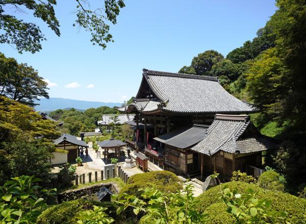 https://www.db.kansai-maas.jp/image/photos/db3b7043-2d1e-4d81-8512-37b66571b32f.jpg
