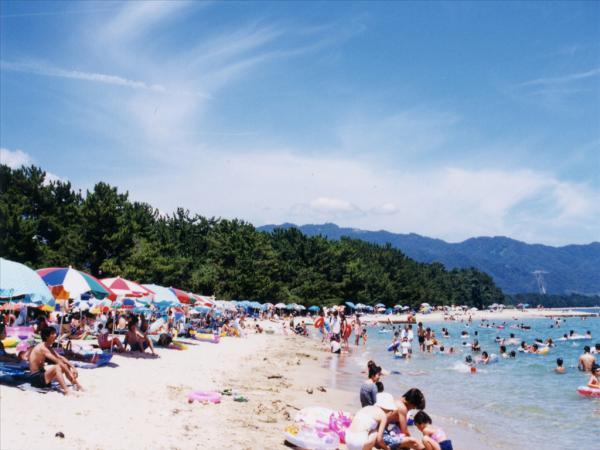 https://www.db.kansai-maas.jp/image/photos/db7eff29-cdb3-45cc-8093-c9747e43faf8.jpg