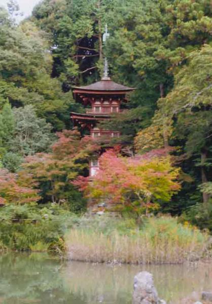 https://www.db.kansai-maas.jp/image/photos/dcf07cc9-61fd-47c8-8fde-a490838e309c.jpg