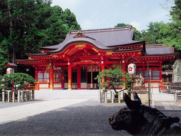 https://www.db.kansai-maas.jp/image/photos/df6f8c43-28f4-4bc2-9cda-7a63a8fd75d2.jpg
