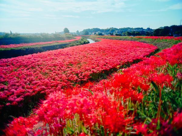 https://www.db.kansai-maas.jp/image/photos/e215cb0c-4564-487d-a3ee-db89df175aa6.jpg